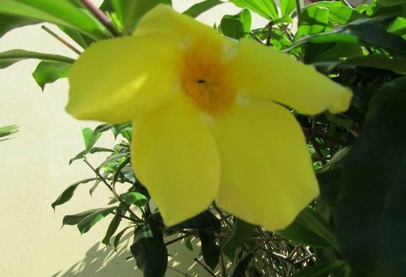 1ベッドルームアパートメント, Marfi Inn