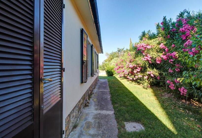 Номер Superior, Artemisia Negli Ulivi B&b
