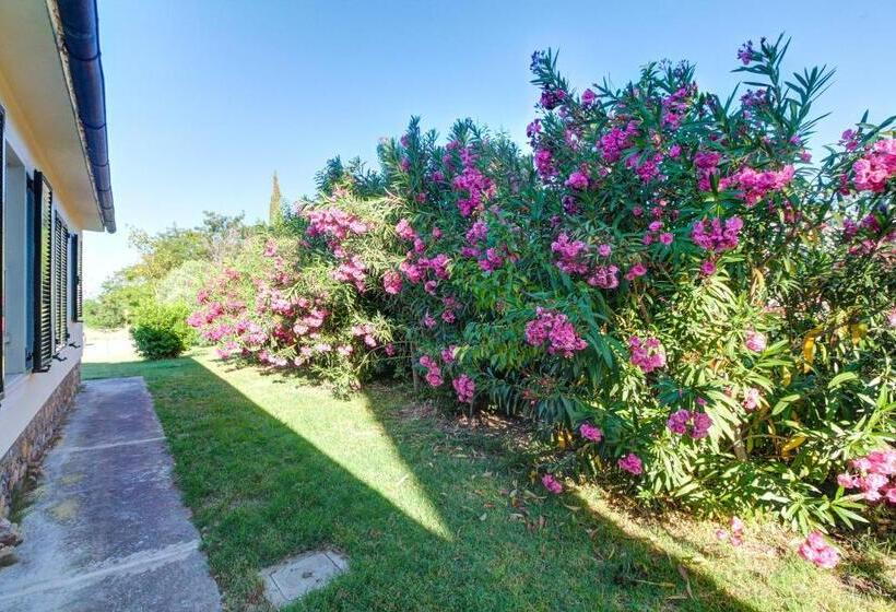 Номер Superior, Artemisia Negli Ulivi B&b