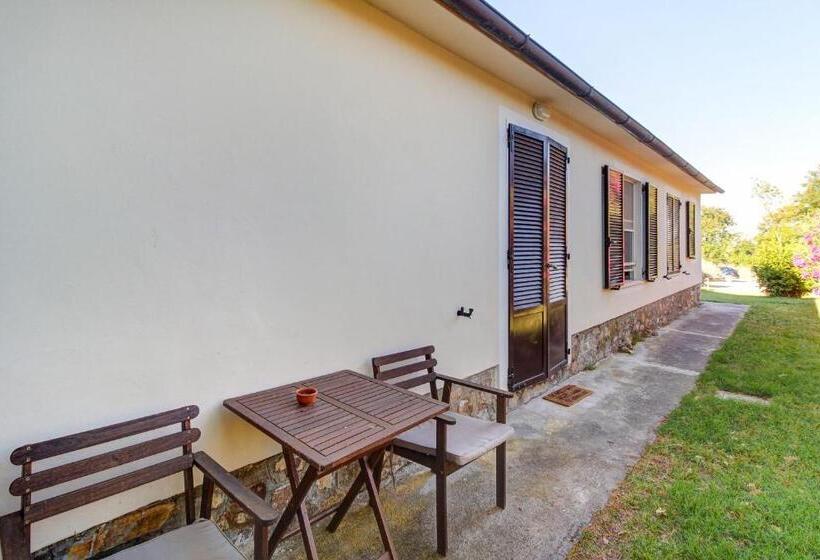 غرفة سوبيريور, Artemisia Negli Ulivi B&b