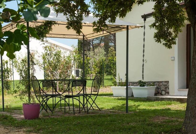 Номер Basic, Artemisia Negli Ulivi B&b
