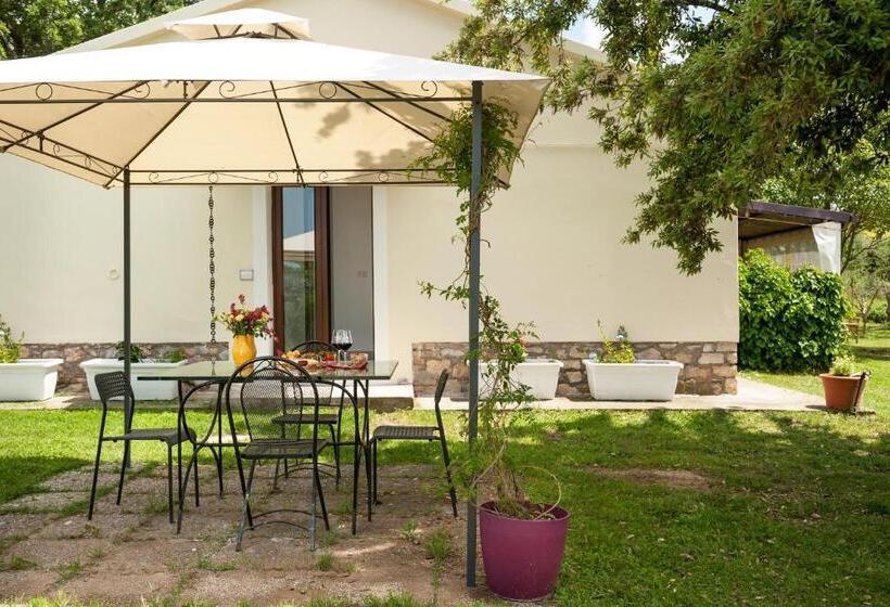 غرفة أساسية, Artemisia Negli Ulivi B&b