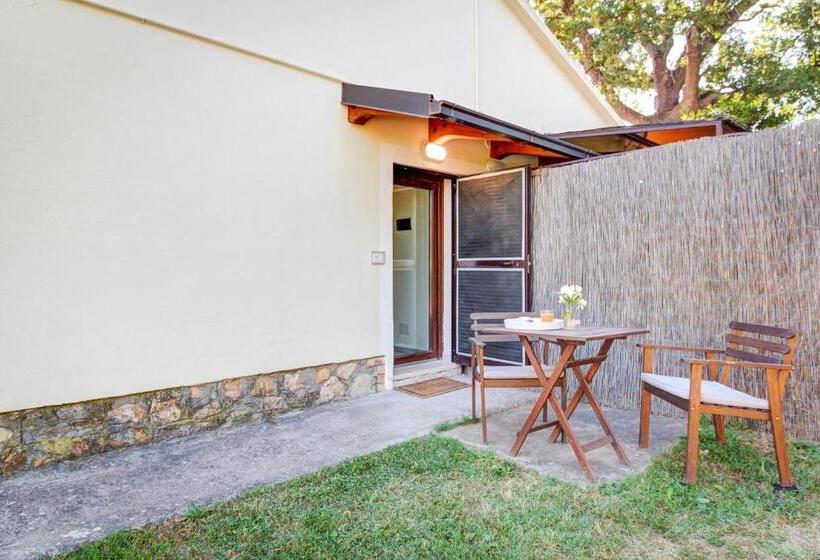 غرفة سوبيريور, Artemisia Negli Ulivi B&b