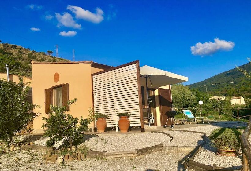 スタンダードバンガロー, Cuore Della Valle