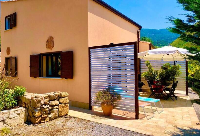 1ベッドルームアパートメント, Cuore Della Valle