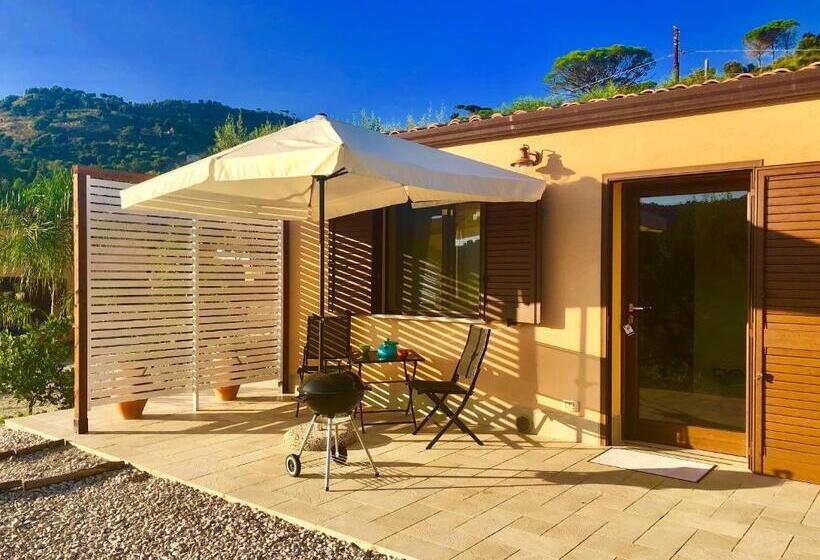 スタンダードバンガロー, Cuore Della Valle