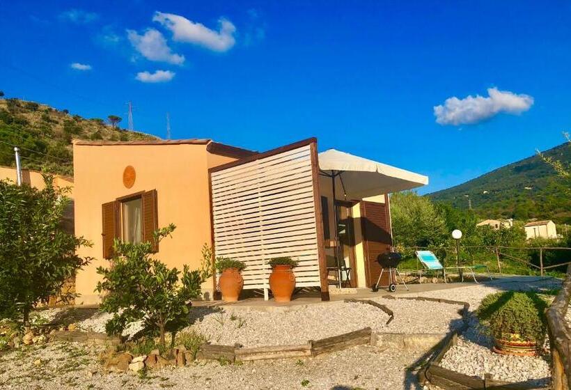 スタンダードバンガロー, Cuore Della Valle