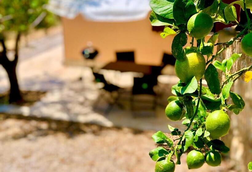 1ベッドルームのスーペリアアパートメント, Cuore Della Valle