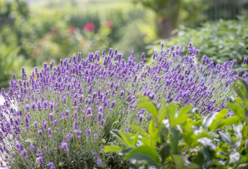 غرفة قياسية مزوَّدة بشُرفة, Agriturismo Tre Stelle