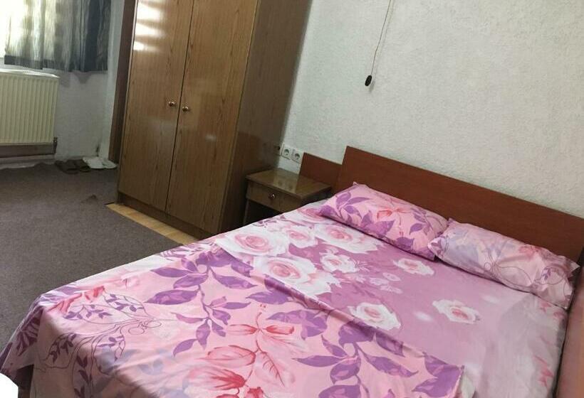 اتاق اکونومی, Bujtina Oltas