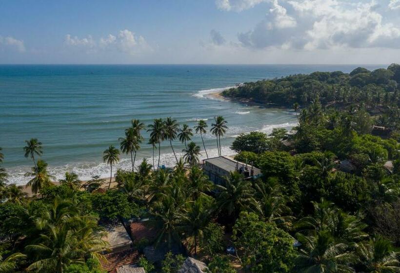 豪华小屋, Forcus Cabanas