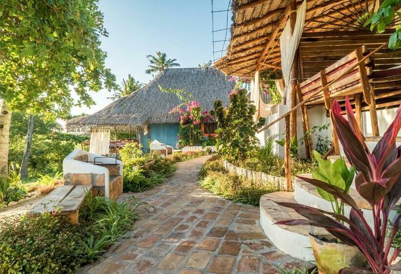 침실 1개 테라스 아파트, Sunset View Tofo