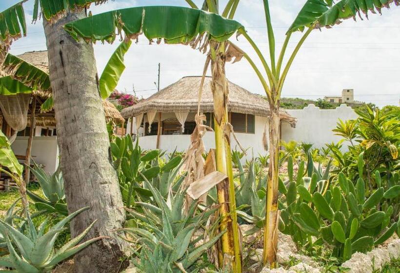 1침실 빌라 정원 전망, Sunset View Tofo