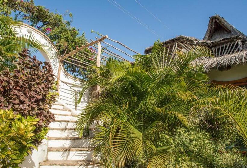 스탠다드 트리플 룸, Sunset View Tofo