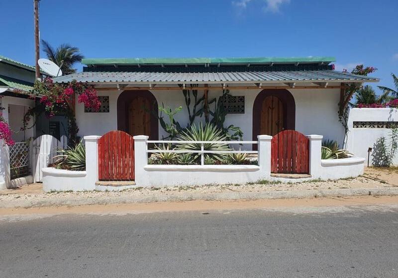 스탠다드 스튜디오, Sunset View Tofo