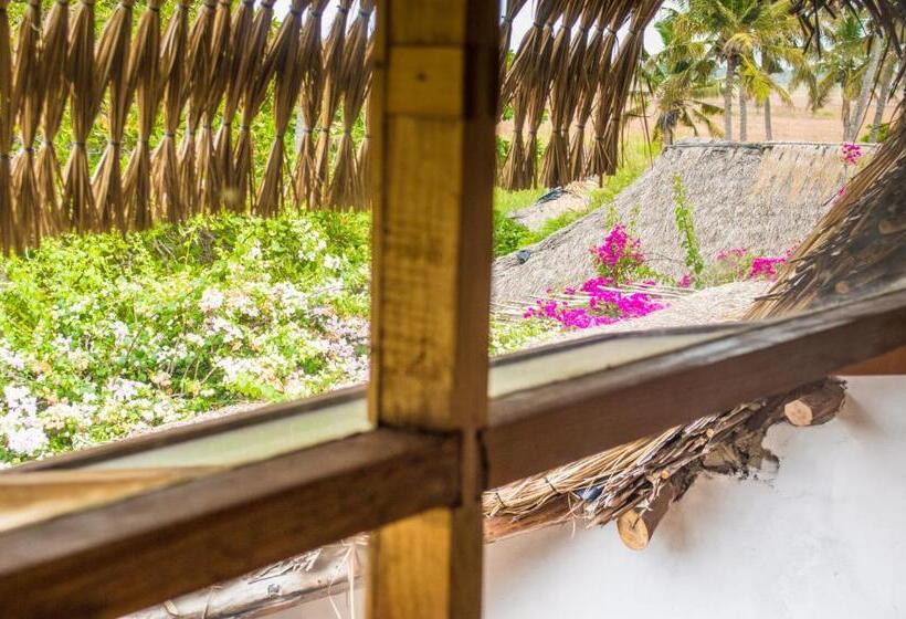 침실 1개 아파트, Sunset View Tofo