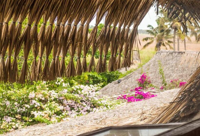 침실 1개 아파트, Sunset View Tofo