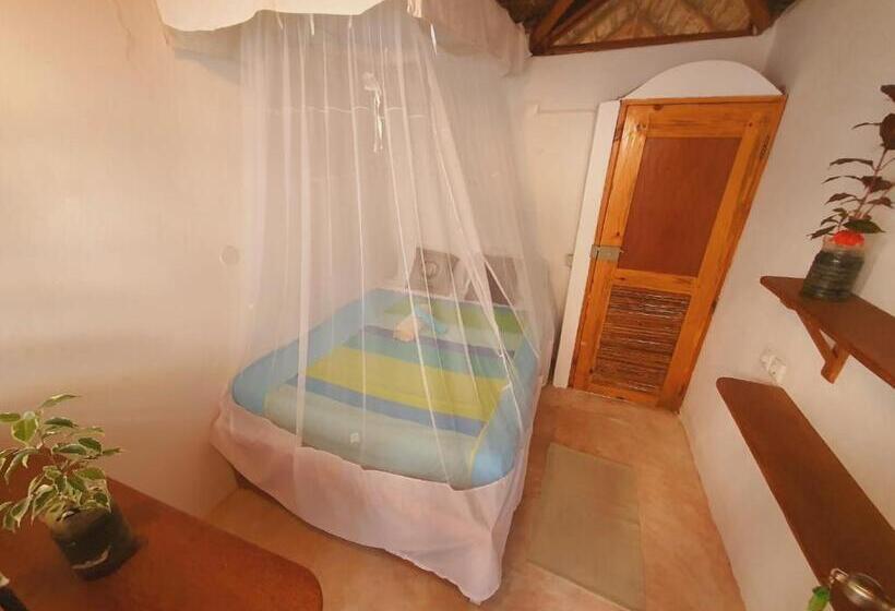 이코노미 룸, Sunset View Tofo