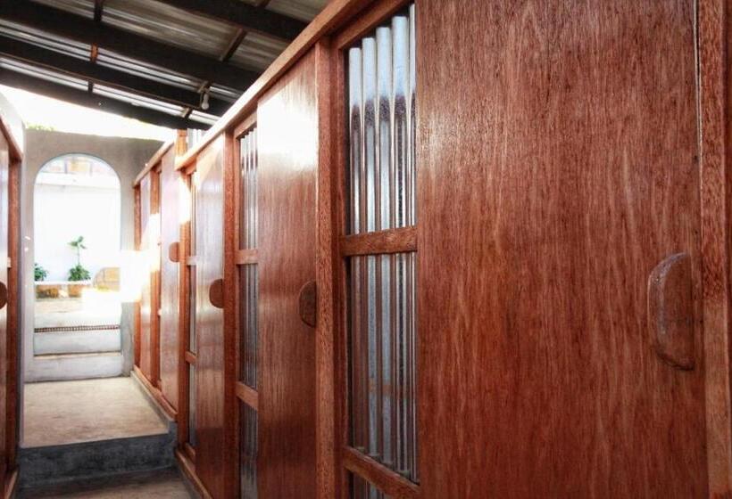 이코노미 룸, Sunset View Tofo