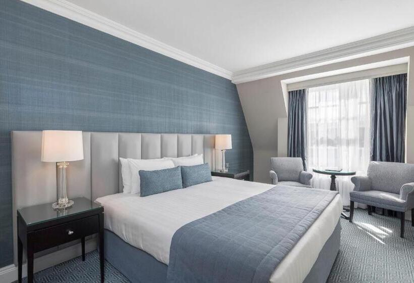 חדר דלוקס יחיד, The Johnstown Estate