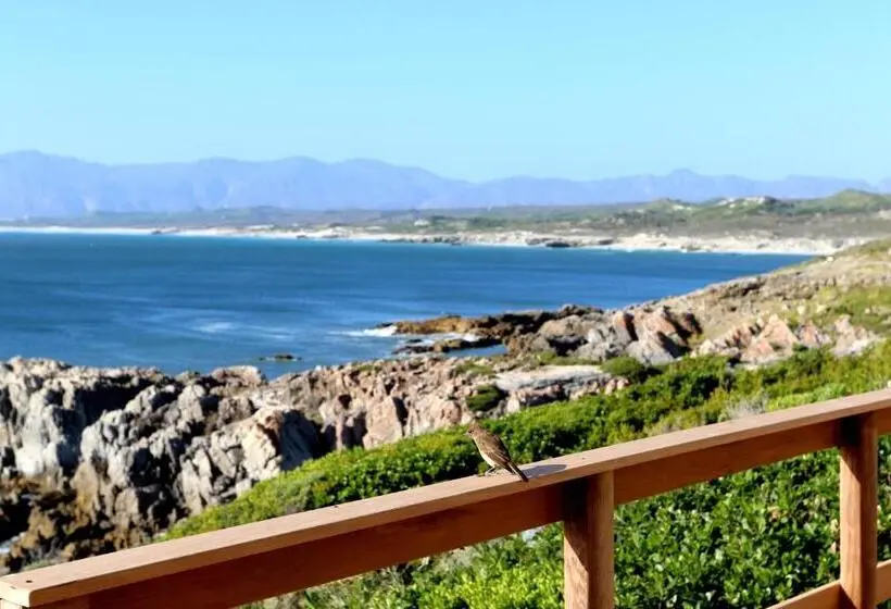 デラックスバンガロー, Cliff Lodge