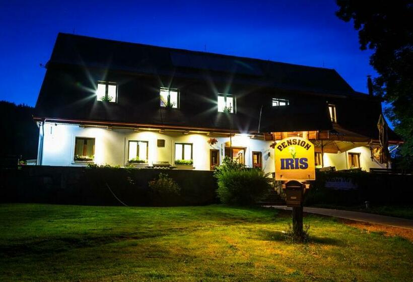 חדר סטנדרט לארבעה, Penzion Iris Krkonoše