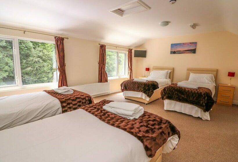 标准间, Old Tredegar Arms