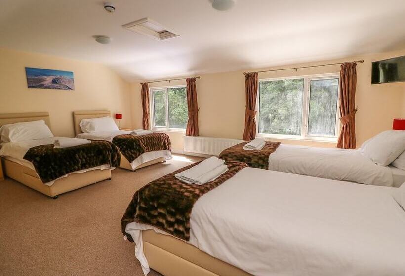 标准间, Old Tredegar Arms