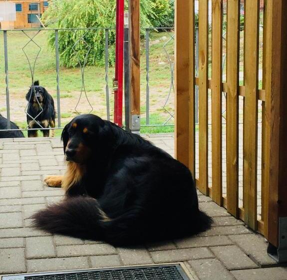 חדר סטנדרט יחיד, Landgasthaus & Pension Liebner Land Brandenburg Prignitz