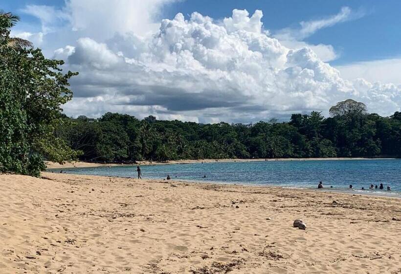 آپارتمان 2 خوابه, Arococles