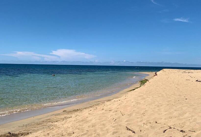 آپارتمان 2 خوابه, Arococles