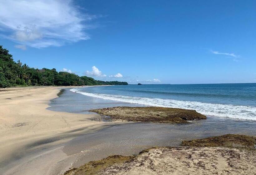 آپارتمان 2 خوابه, Arococles