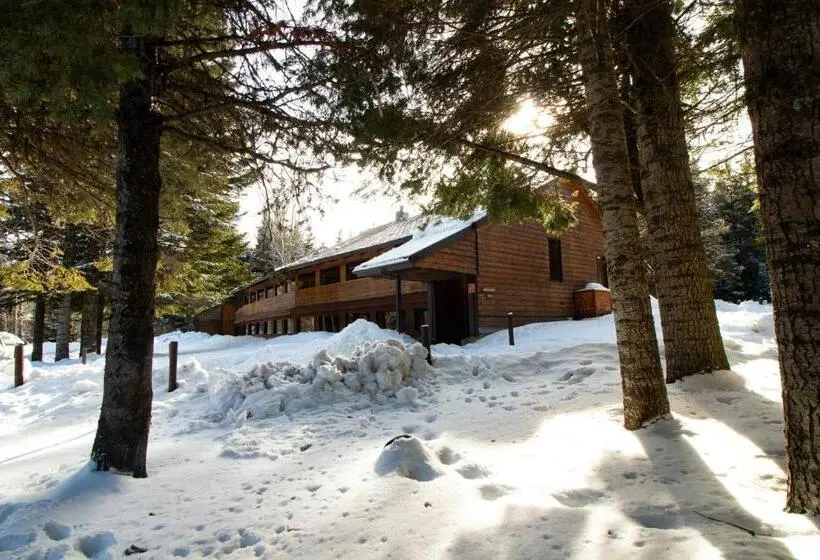キングサイズベッドのデラックスルーム, Cooper Spur Mountain Resort