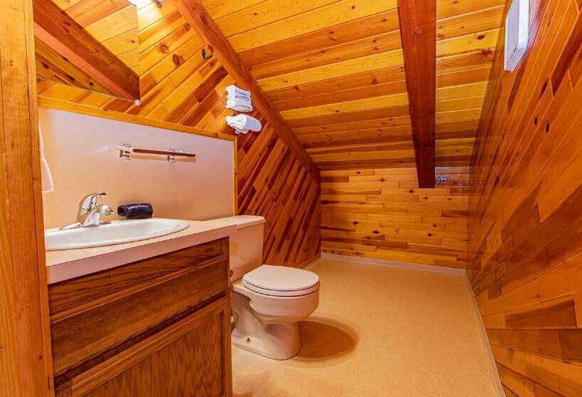 Апартаменты 1 Спальня, Cooper Spur Mountain Resort