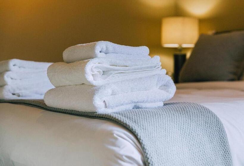 高级大房间, The Pointer