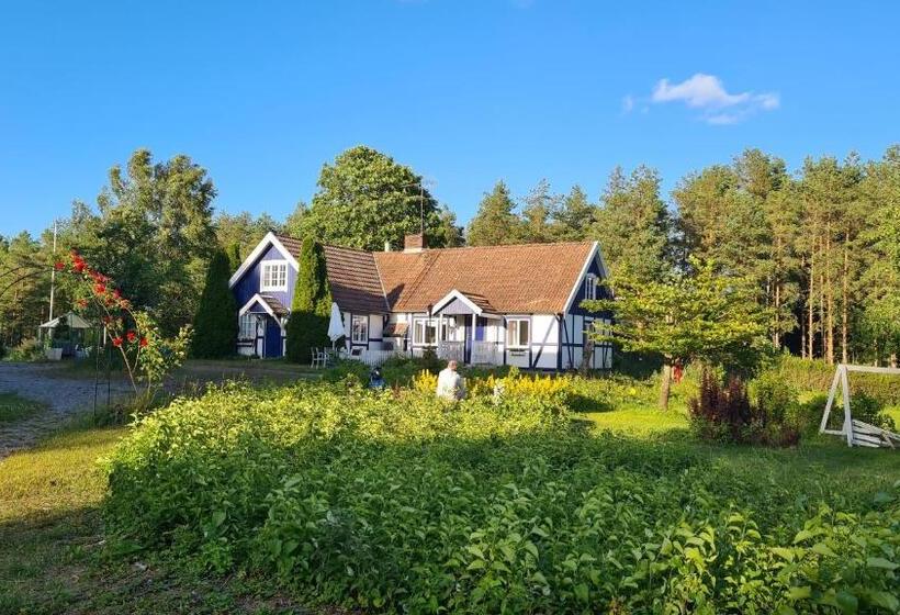 带大床的豪华间, Villa Luna Breakfast