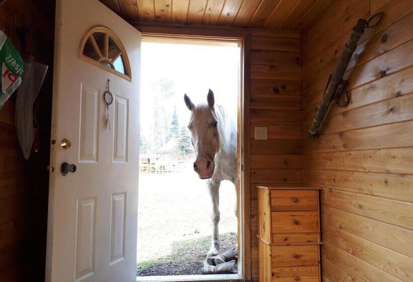 家庭间, Wettstone Guest Ranch