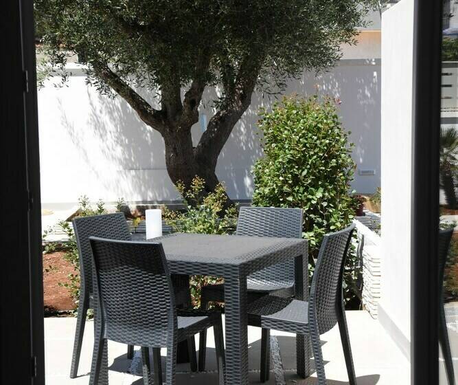 Номер Стандарт, Belsito