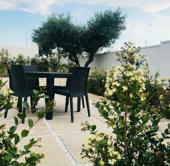 Номер Стандарт, Belsito