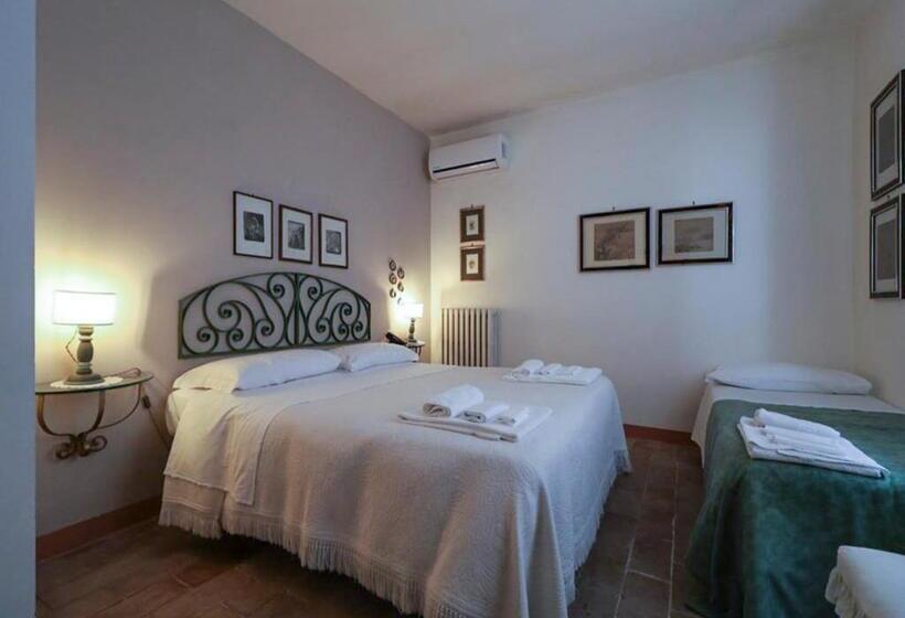 舒适三人间, Agrifoglio