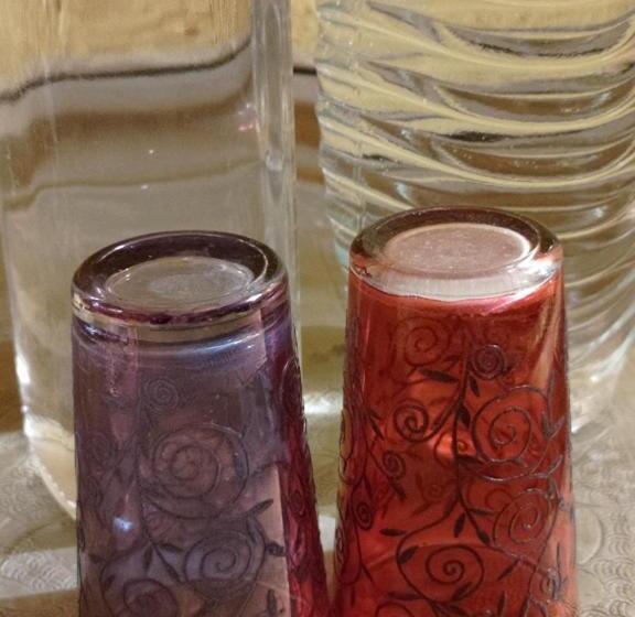 豪华房间, Le Manoir De Gâtines