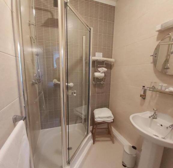 デラックスルーム, Llys Aeron Guest House