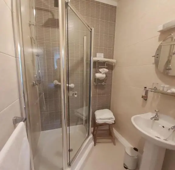デラックスルーム, Llys Aeron Guest House