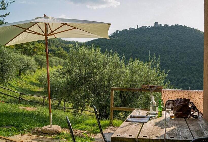 Апартаменты 1 Спальня с Террасой, Agriturismo La Fonte