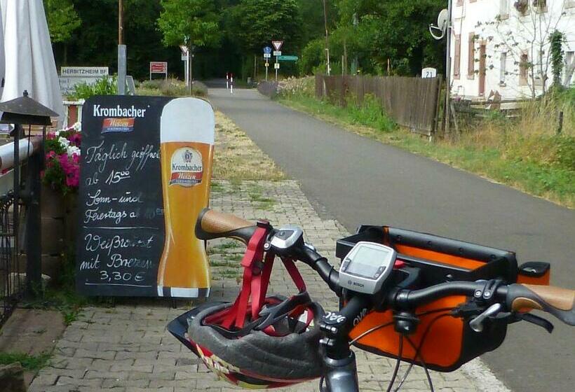 Номер Стандарт Совместная Ванная, Bliesbrück