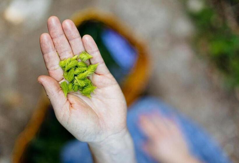 豪华房间, Hueber Der Wirt