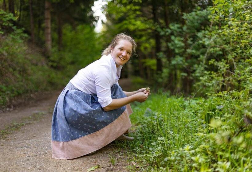 豪华房间, Hueber Der Wirt