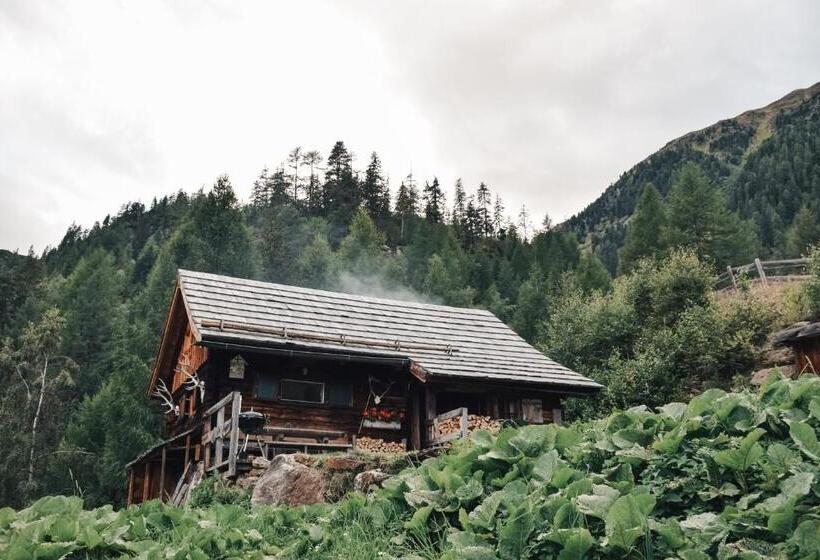 شاليه غرفة نوم واحدة, Landgut Moserhof