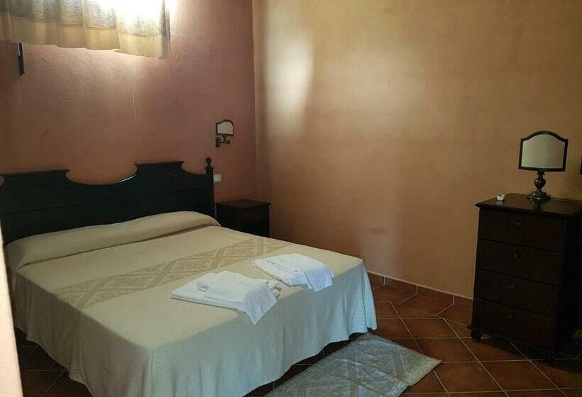 スタンダードルーム, Sardus Pater