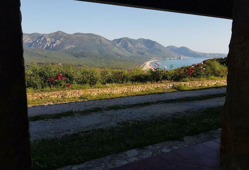 スタンダードルーム, Sardus Pater